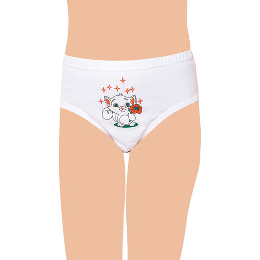 Seher Yıldızı Kız Çocuk Ön Kısmı İşlemeli Slip Kom Külot 6'lı Eko Paket SKC0051